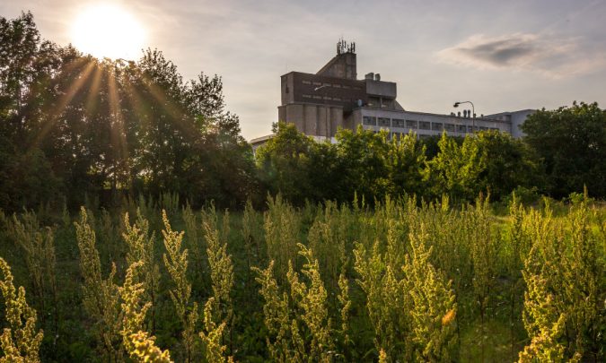 Silné siluety trnavských síl