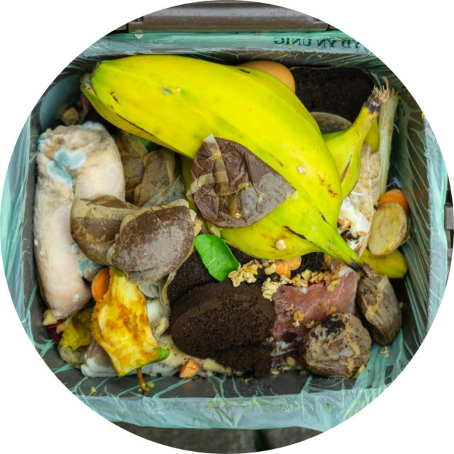 ekológia: máme vlastný kompostér