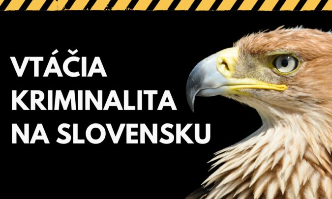 Čo je to „BirdCrime“ alebo vtáčia kriminalita? Na čo sa zameriava a ako funguje na Slovensku Enviropolícia? Aké environmentálne trestné činy sa dejú aj u nás? Ako môže aj jednotlivec pomôcť pri odhaľovaní a predchádzaní BirdCrime-u?
